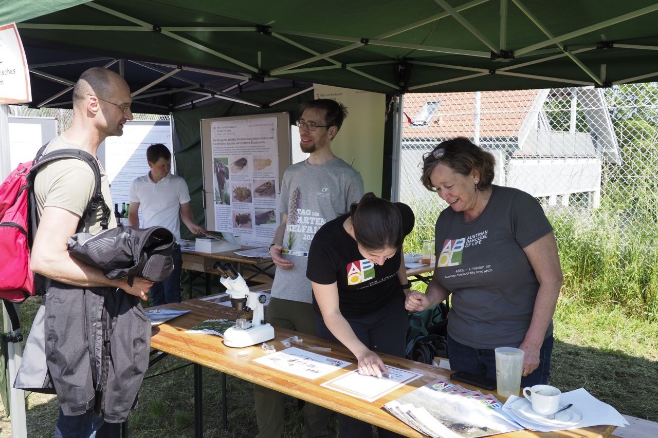 ABOL-Infostand beim Tag der Artenvielfalt in Klosterneuburg