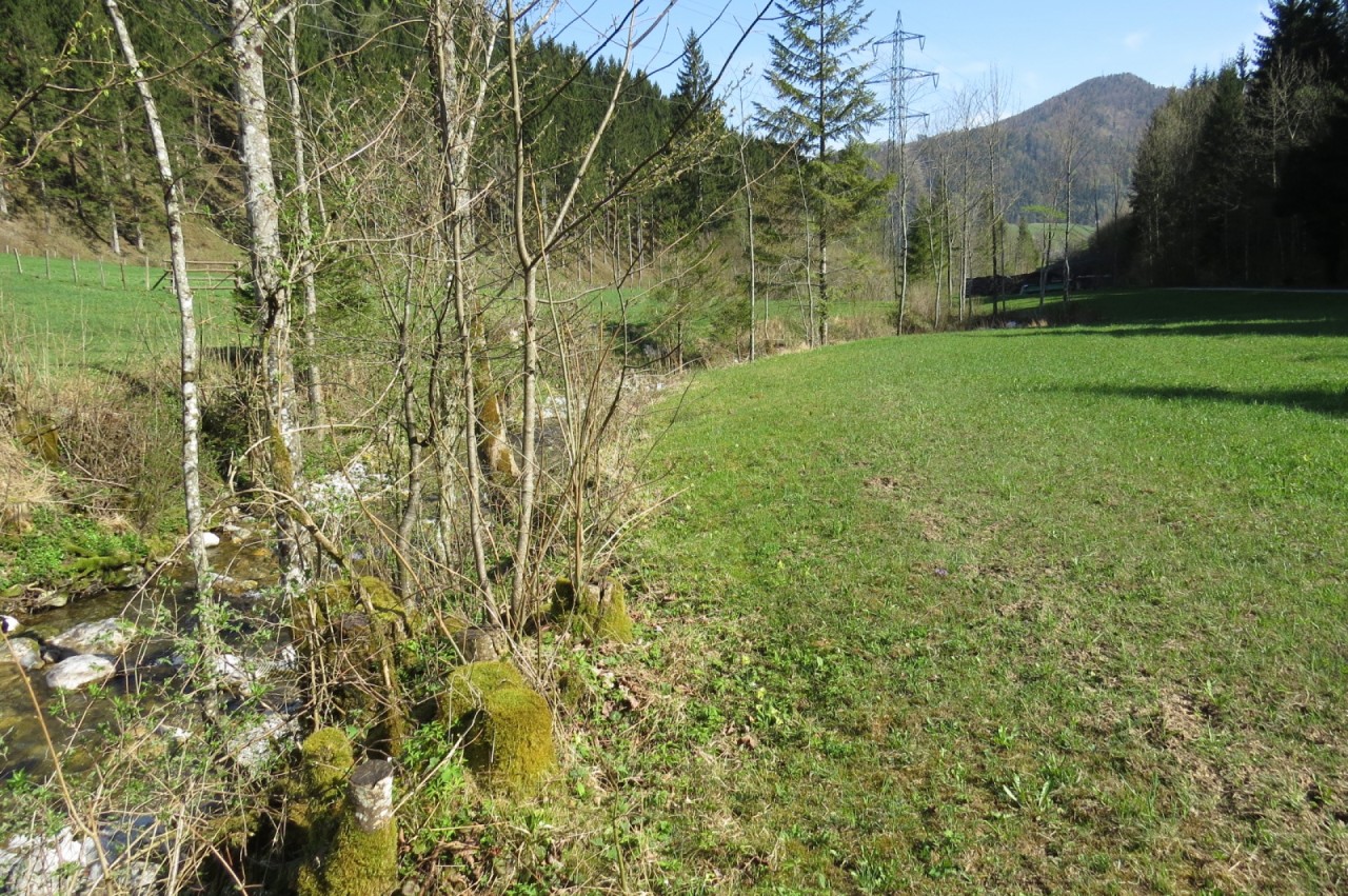 Österreich - Wasserreich