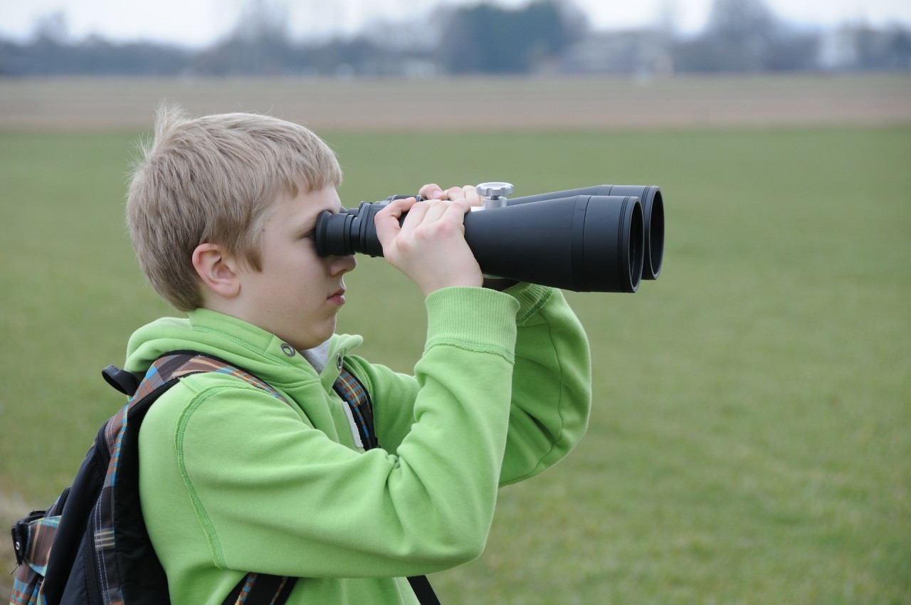 Citizen Science Award 2016: 8 Projekte finden sich auf www.citizen-science.at