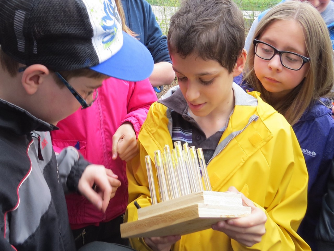 Vorträge zu Citizen Science an der BOKU Wien