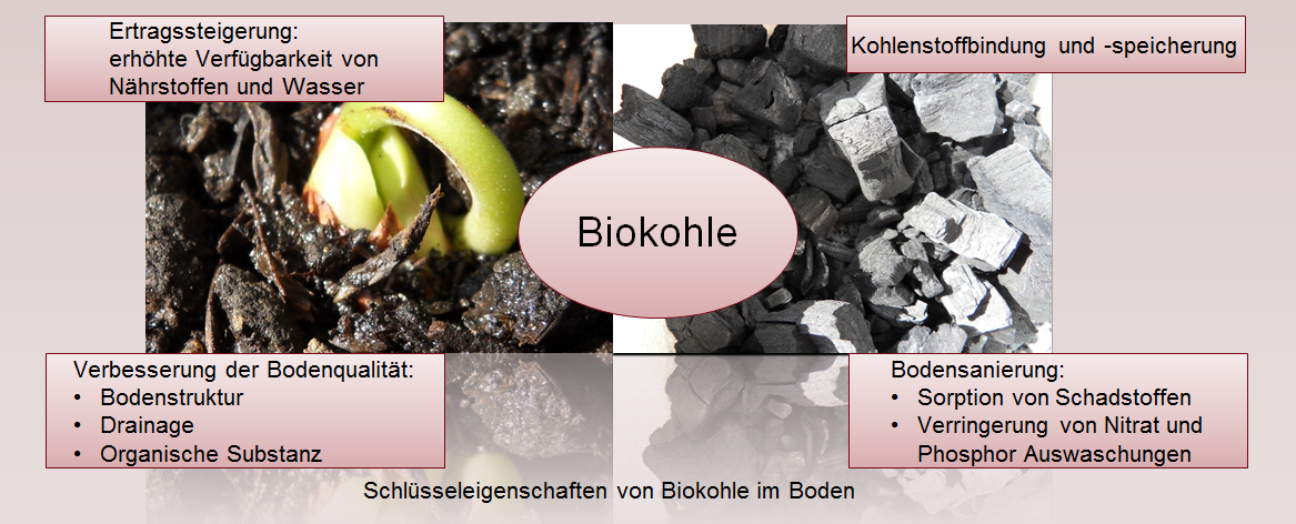 schluesseleigenschaften biokohle