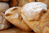 BrotZeit - Ein neues Projekt auf www.citizen-science.at