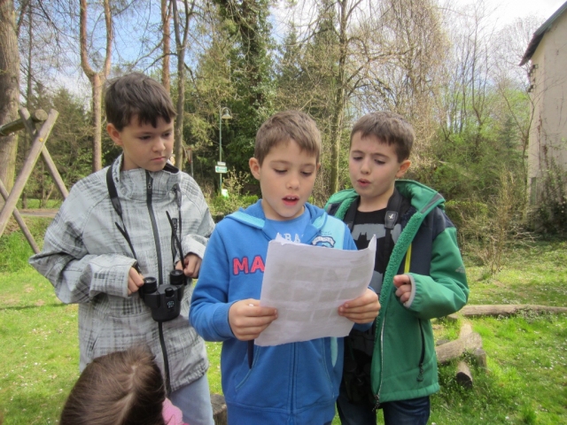 Was lernen Schülerinnen, Schüler und Lehrpersonen aus Citizen Science Projekten?