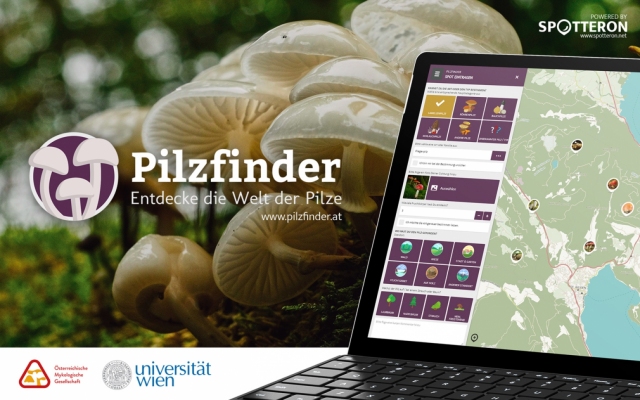 NEU: Pilzfinder